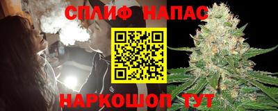 гашик Жуковский