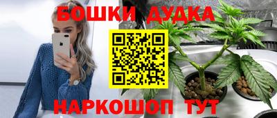 гашик Жуковский